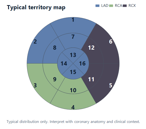 Typical coronary territory map in EchoRapp TTE orientation
